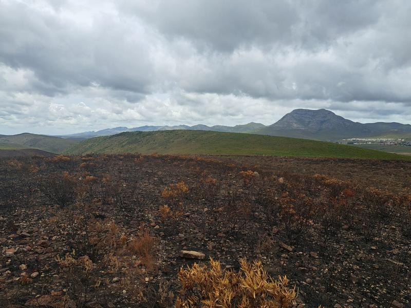 0 Bedroom Property for Sale in Kareedouw Eastern Cape